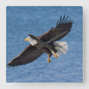 Suche nach im flug wanduhren Vögel