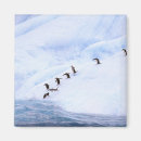 Suche nach die antarktis magnete Ozean