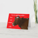 Suche nach lol tiere postkarten Geburtstag