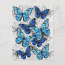 Suche nach blauer morpho schmetterling postkarten Schmetterlinge
