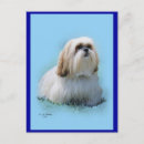 Suche nach lhasa postkarten Hund