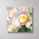 Suche nach orchid leinwandbilder Fotografie