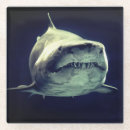 Suche nach zahn untersetzer Haie