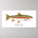Suche nach regenbogenforelle poster Fliege