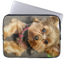 Suche nach yorkie laptop schutzhüllen Haustier