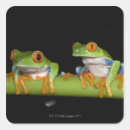 Suche nach roter frosch aufkleber Natur