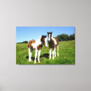 Suche nach niedliches pferd leinwandbilder Reiter