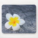 Suche nach frangipani mousepads Weiß