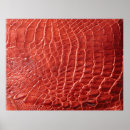 Suche nach krokodile poster Textur