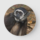 Suche nach gallo wanduhren Farbbild