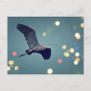 Suche nach flight postkarten Fliegen