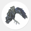 Suche nach krähen aufkleber Vogelbeobachtung