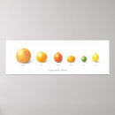 Suche nach citrus poster Clementine
