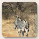 Suche nach kenia untersetzer Wild lebende tiere