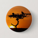 Suche nach vulkane buttons Afrika