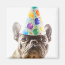 Suche nach french bulldog magnete Haustiere