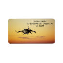 Suche nach piraten rücksende aufkleber Junge