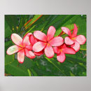 Suche nach plumeria poster Grün