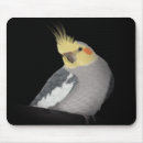 Suche nach cockatiel mousepads Vogel