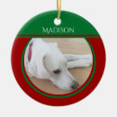 Suche nach friedlich ornamente Grün