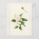 Suche nach aquarellmalerei postkarten Vintag