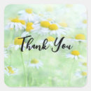 Suche nach kamille aufkleber Durchtränkt