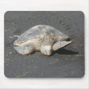 Suche nach schildkröte mousepads Hawaii