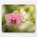 Suche nach rosa orchideen mousepads Botanisch