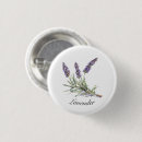 Suche nach lavendel blumen buttons Botanisch