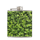 Suche nach gras flachmänner Pflanze