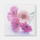 Suche nach einzeln magnete Blume