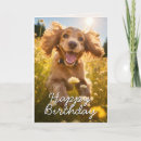 Suche nach cocker spaniel geburtstag karten Vom hund
