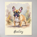 Suche nach farben poster Haustiere