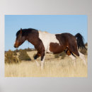 Suche nach ken archer poster Steens mountain
