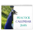 Suche nach pfauen kalender Natur