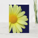 Suche nach stern karten Blume
