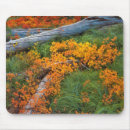 Suche nach baumstamm mousepads Grün