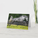 Suche nach leaping karten Hengst