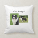 Suche nach border collie geschenke Haustiere
