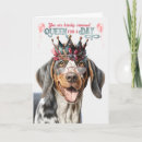 Suche nach coonhound karten Hunde
