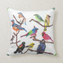 Suche nach singvogel kissen Für alle