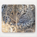 Suche nach große mit augen katze mousepads Leopard