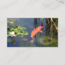 Suche nach teiche visitenkarten Koi