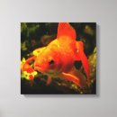 Suche nach salzwasser leinwandbilder Meer