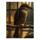 Suche nach singvögel poster Singvogel