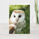 Suche nach schleiereulen karten Jede person