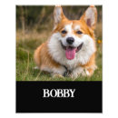 Suche nach grüner hund poster Niedlich