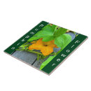 Suche nach grün gelb fliesen Gelbe blume