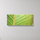 Suche nach wandkunstsets Leinwand