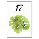 Suche nach exotisch tischkarten Blätter